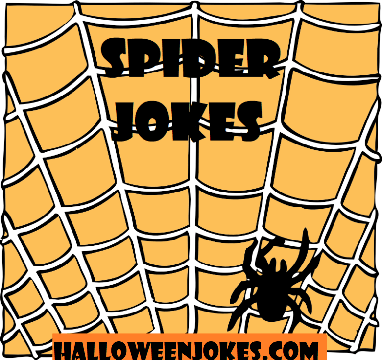 Spider Jokes